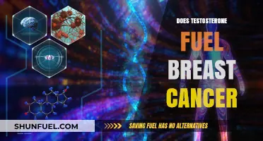 Testosterone's Role in Breast Cancer: Unraveling the Hormonal Connection