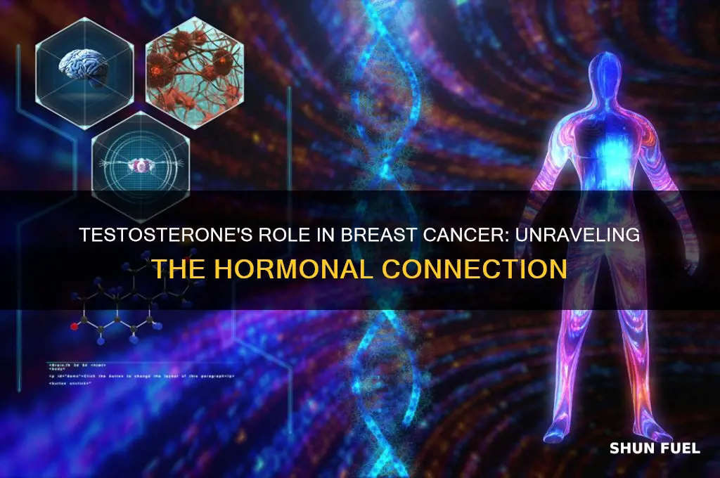 does testosterone fuel breast cancer