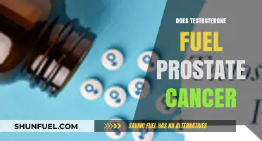 Testosterone's Role in Prostate Cancer: Fueling Growth or Misunderstood?