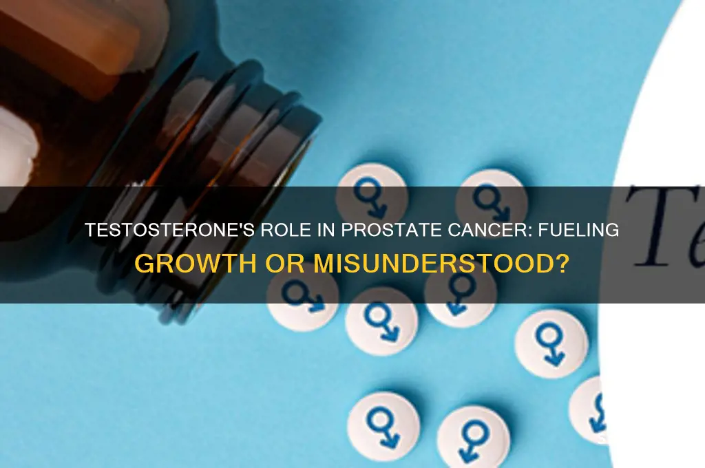 does testosterone fuel prostate cancer