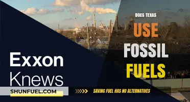 Texas Fossil Fuel Usage: Examining the Energy Landscape