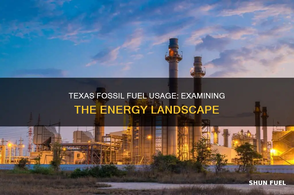 does texas use fossil fuels
