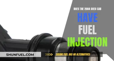 2004 Aveo Fuel Injection: What You Need to Know