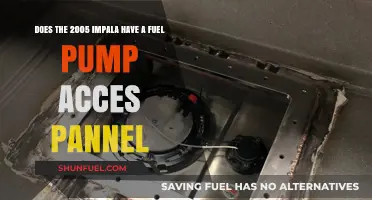 Accessing the Fuel Pump on a 2005 Impala: Panel Guide