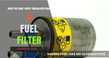 Fuel Filter Facts for the 2007 Chevy Trailblazer