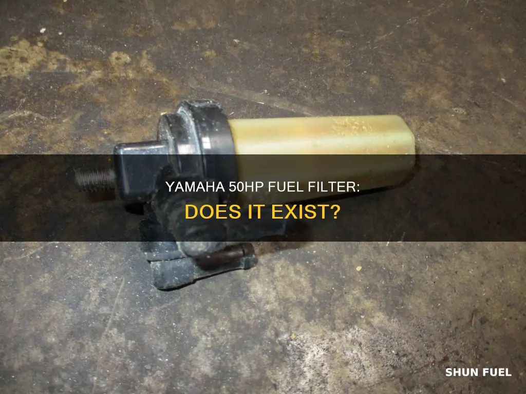 does the 50hp yamaha have a fuel filter