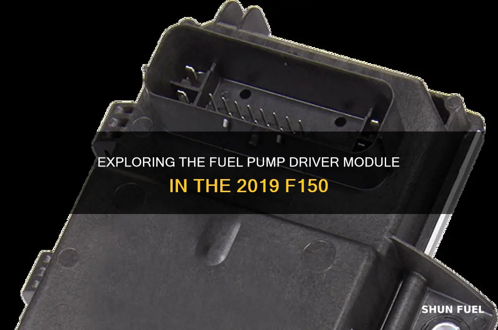 does the 91f150 have a fuel pump driver module