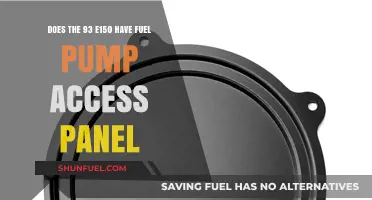 E150 Fuel Pump Access: Does the 93 Model Have a Panel?