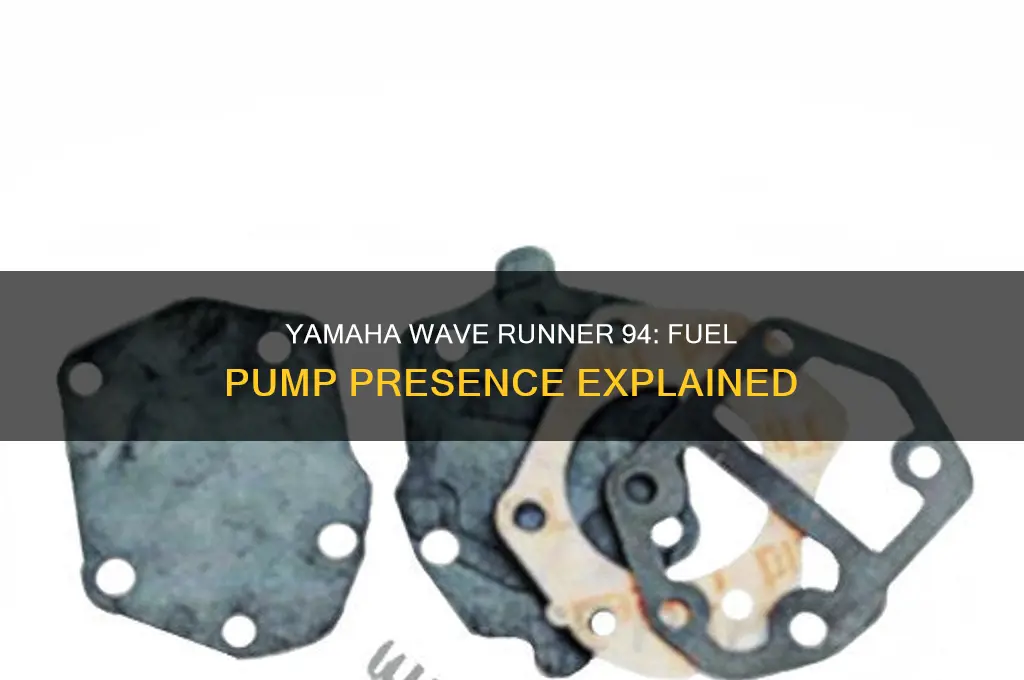 does the 94 yamaha wave runner have a fuel pump