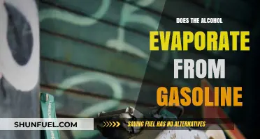 Does Alcohol Evaporate from Gasoline? A Comprehensive Guide