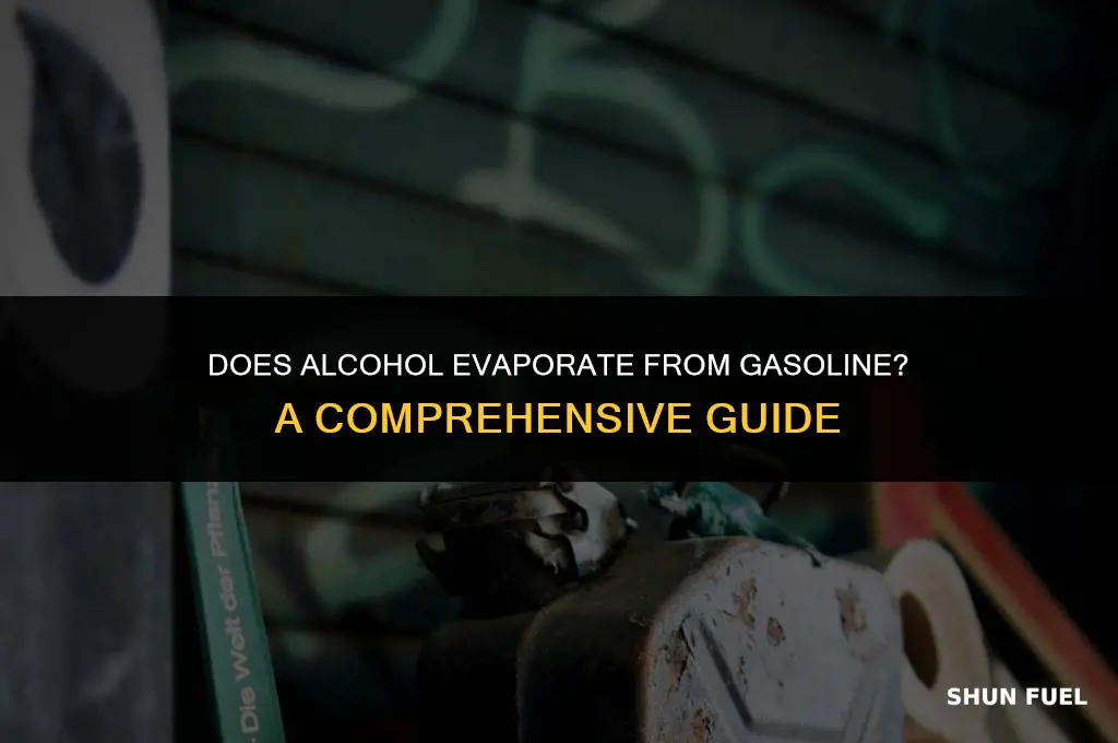 does the alcohol evaporate from gasoline