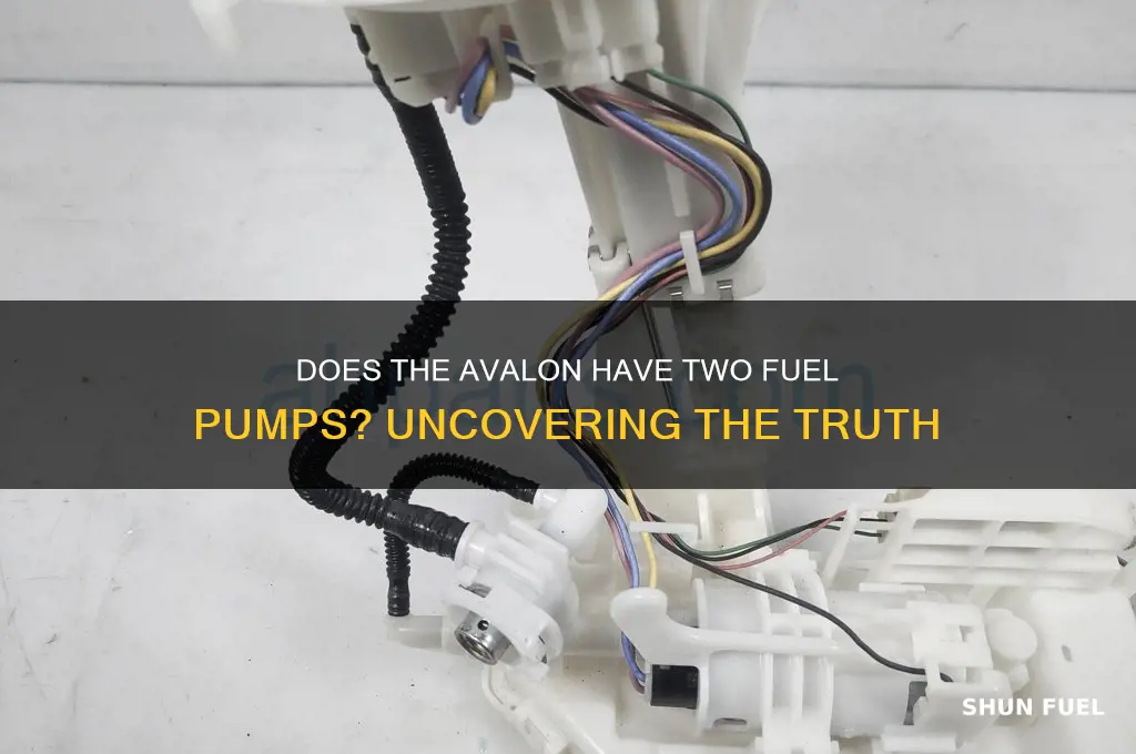 does the avalon have two fuel pumps