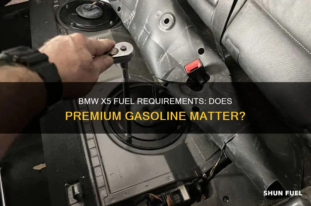does the bmw x5 use premium fuel