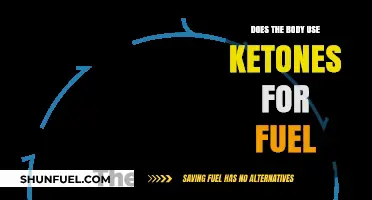 Ketones as Fuel: How Your Body Utilizes This Alternative Energy Source
