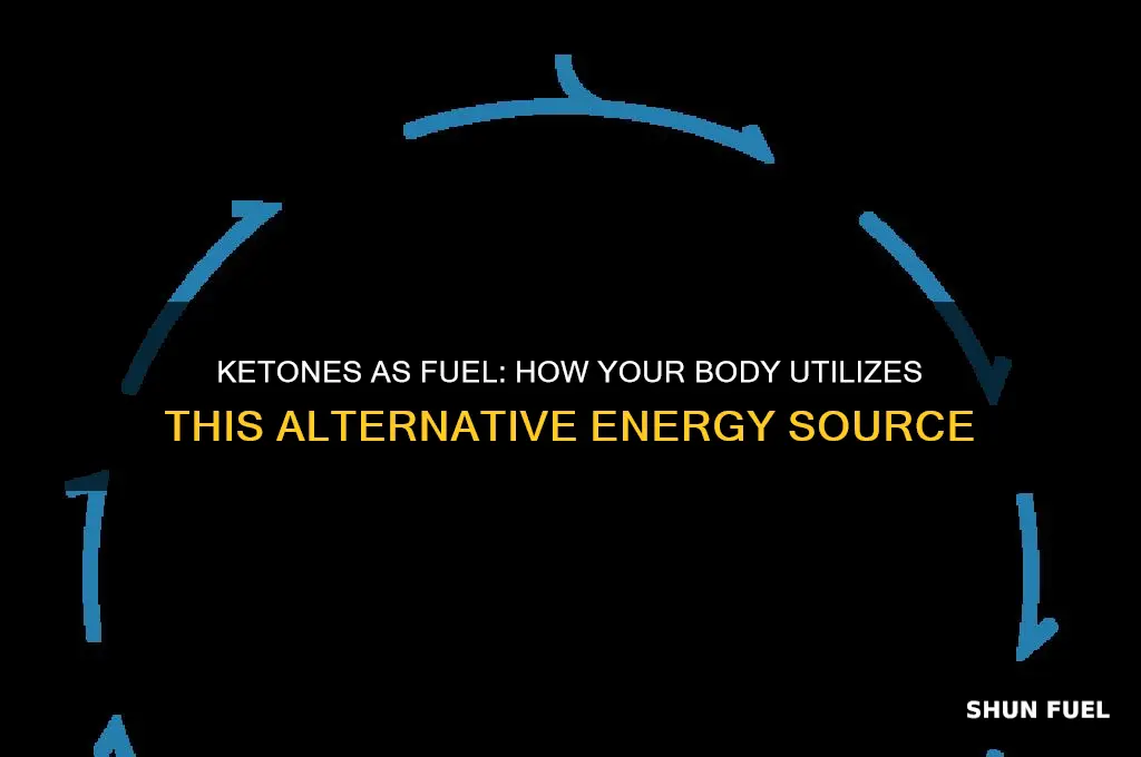 does the body use ketones for fuel