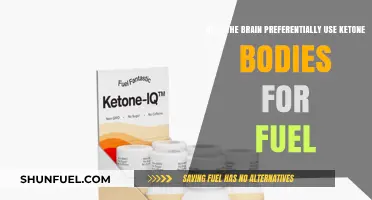 Ketone Bodies: The Brain's Preferred Fuel Source Explained