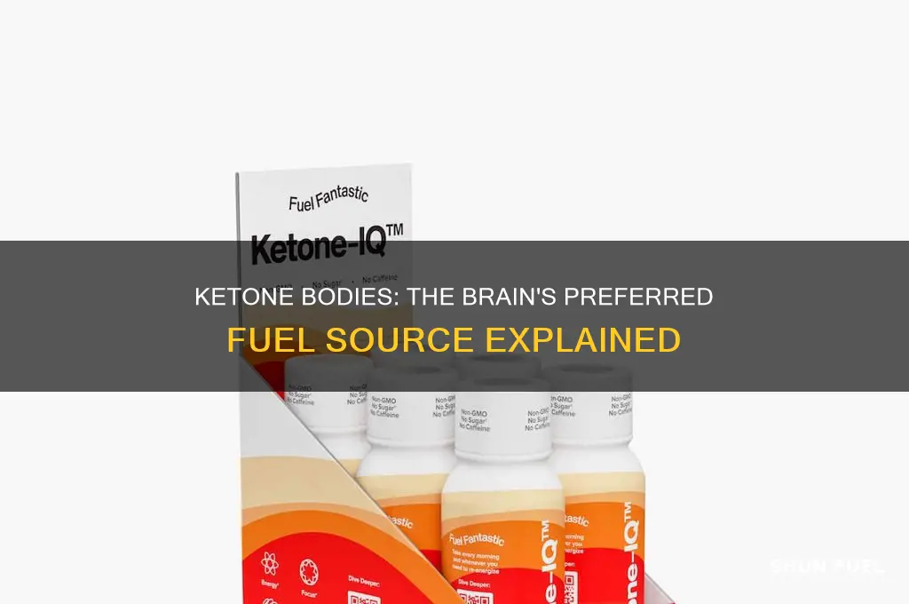 does the brain preferentially use ketone bodies for fuel