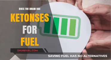 Can Ketones Power the Brain? Exploring Alternative Fuel Sources