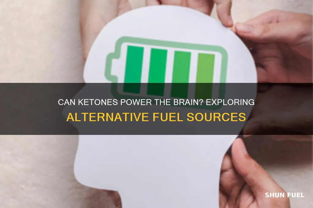 does the brain use ketonses for fuel