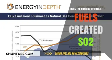Fossil Fuels and SO2: A Burning Question