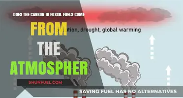 The Mystery of Carbon: Fossil Fuels' Origin Story