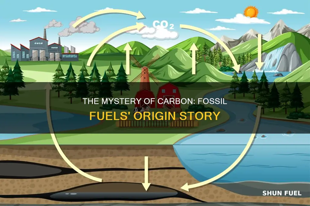 does the carbon in fossil fuels come from the atmospher