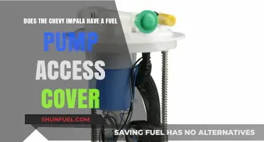 Chevy Impala Fuel Pump Access Cover: Fact or Fiction?