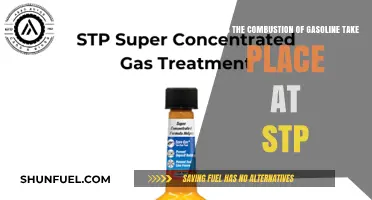 Exploring Gasoline Combustion: Does It Occur at STP?