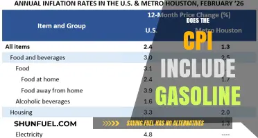 Exploring the CPI: Does It Really Include Gasoline Prices?