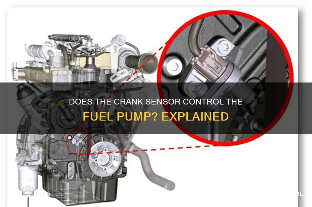 does the crank sensor control the fuel pump
