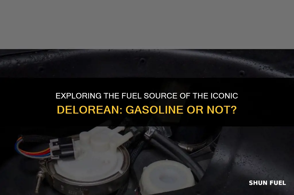 does the delorean run on gasoline