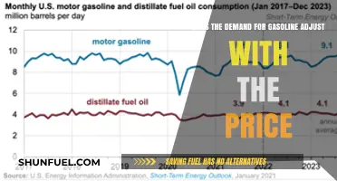 Exploring the Dynamic Relationship Between Gasoline Demand and Pricing