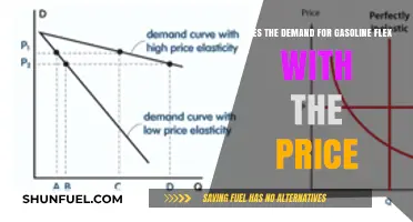 Does Gasoline Demand Bend at the Pump? An Economic Insight