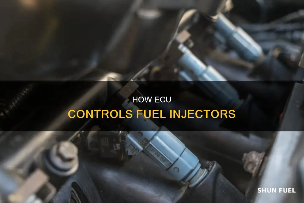 does the ecu control the fuel injectors
