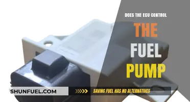 ECU and Fuel Pump: Understanding Their Interconnected Role in Vehicles