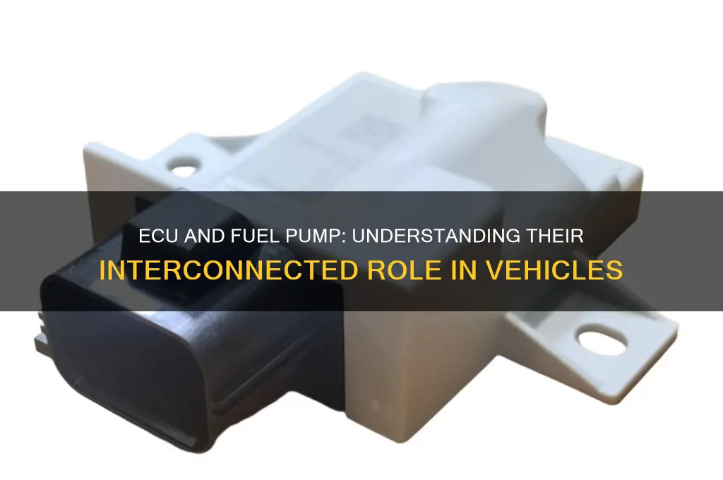 does the ecu control the fuel pump