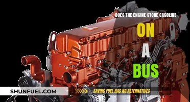 Exploring Gasoline Storage in Bus Engines: Facts and Myths