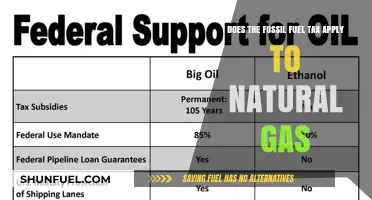 Fossil Fuel Tax: Does Natural Gas Get a Pass?