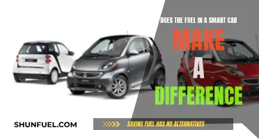 Smart Car Fuel: Efficiency or Hype?