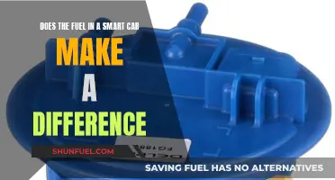 Smart Car Fuel: Does Type Impact Performance?