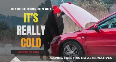 Cold Weather Woes: Can Car Fuel Freeze?