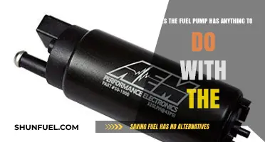 Does the Fuel Pump Impact Your Car's Performance and Efficiency?