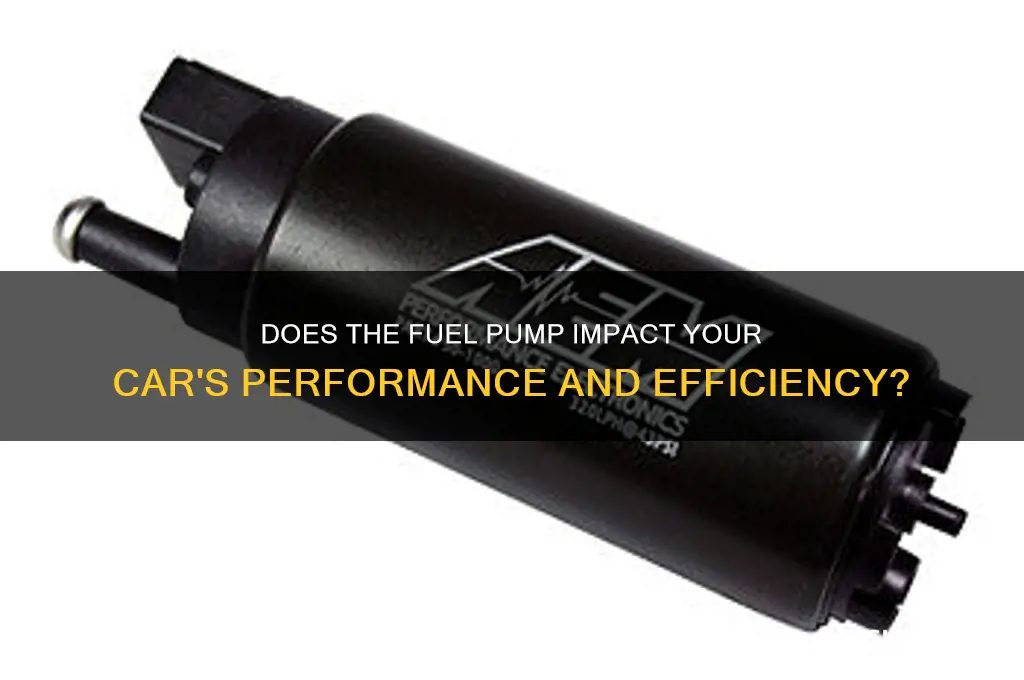 does the fuel pump has anything to do with the