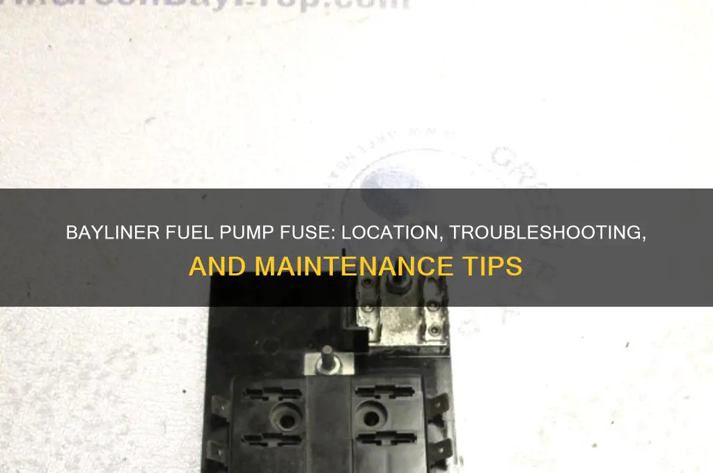 does the fuel pump on my bayliner have a fuse