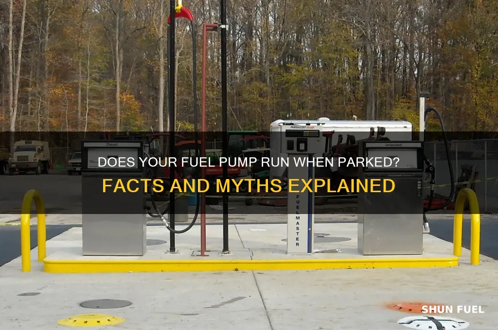 does the fuel pump work when parked
