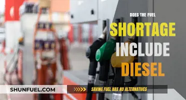 Fuel Shortage: Does Diesel Face the Same Fate?