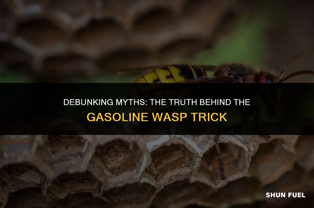 does the gasoline wasp trick work