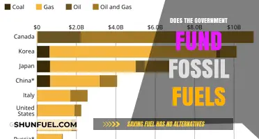 Fossil Fuel Funding: Government's Dark Secret