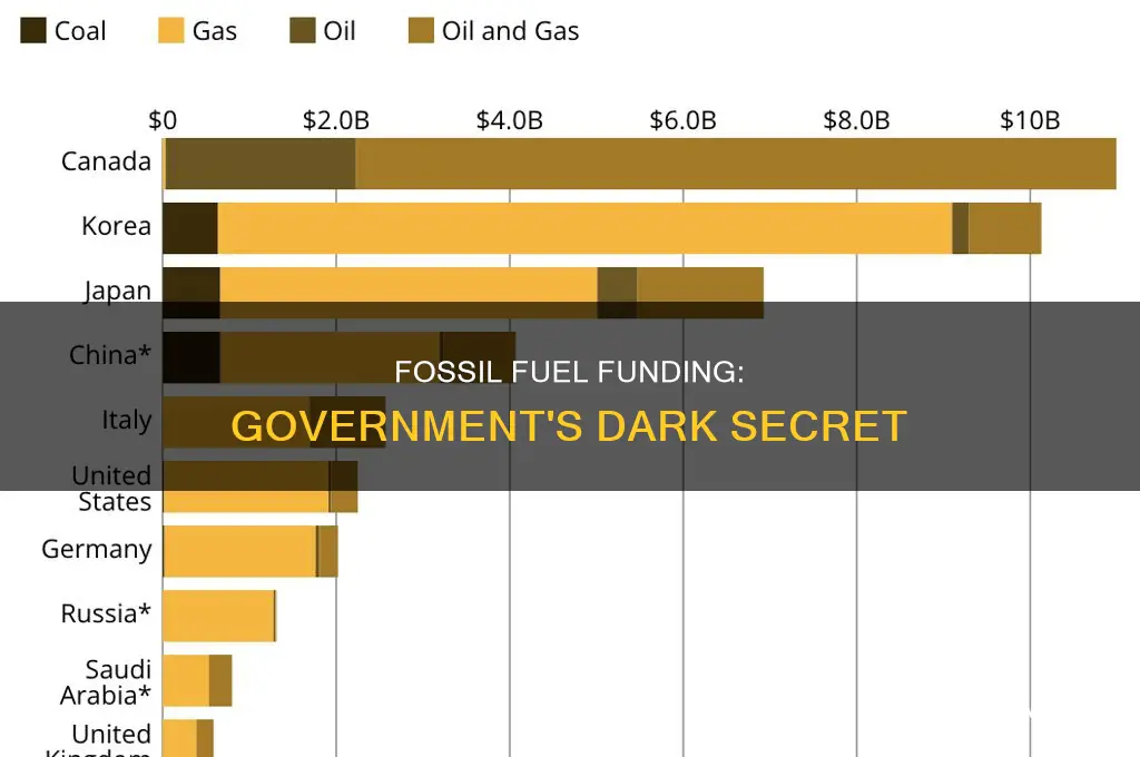 does the government fund fossil fuels