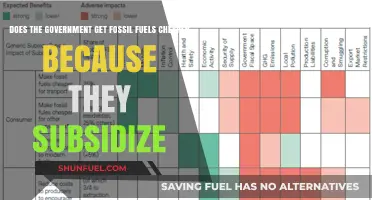 Government Fossil Fuel Subsidies: Cheaper Energy or Costly Habit?